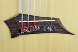 Warwick The Alien 6 String Acoustic Bass