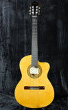 2015 Ibanez GA5TCE-NA Natural Classical Cutaway