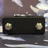 Unknown 2 button Tap Tempo Switch #2 Used