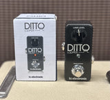 TC Electronic Ditto Looper Used