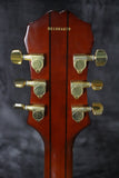 2001 Epiphone Sheraton II