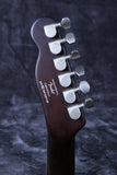 Squier by Fender Master Series Telecaster