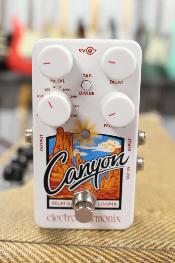 Electro-Harmonix Canyon Delay