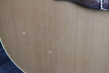 Godin Multiac AE Nylon